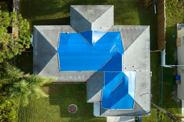 Best Chimney Flashing Repair  in Newton, TX