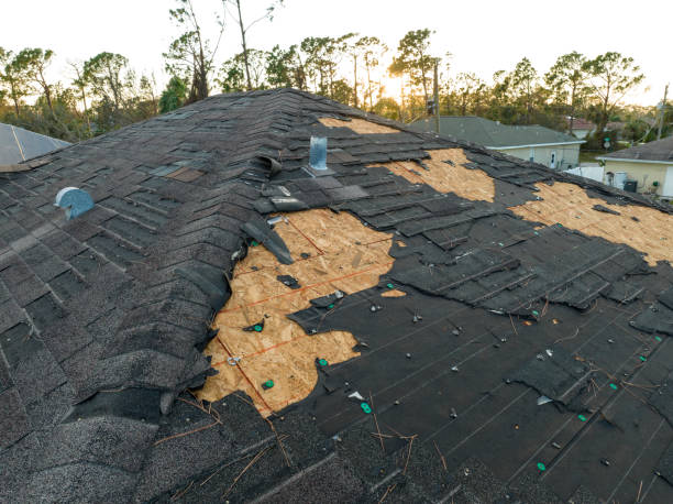  Newton, TX Roofing Service Pros