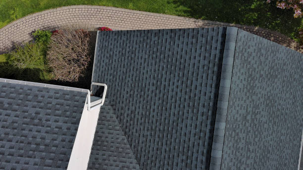 Best Roof Insulation Installation  in Newton, TX