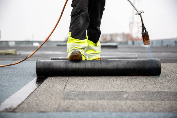 Best Steel Roofing  in Newton, TX