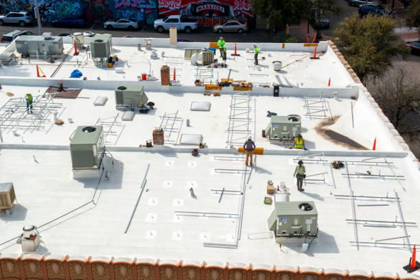 Best Roof Inspection  in Newton, TX