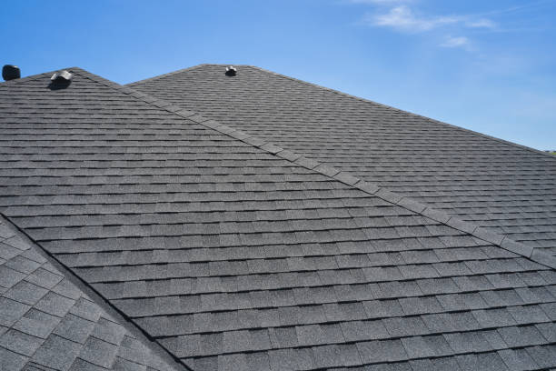 Best Sheet Metal Roofing  in Newton, TX