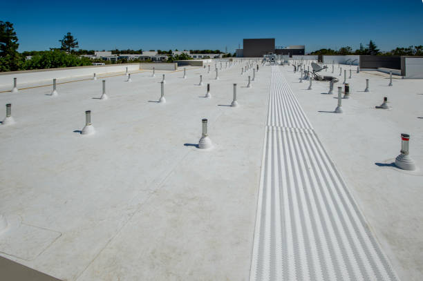 Best Flat Roofing  in Newton, TX